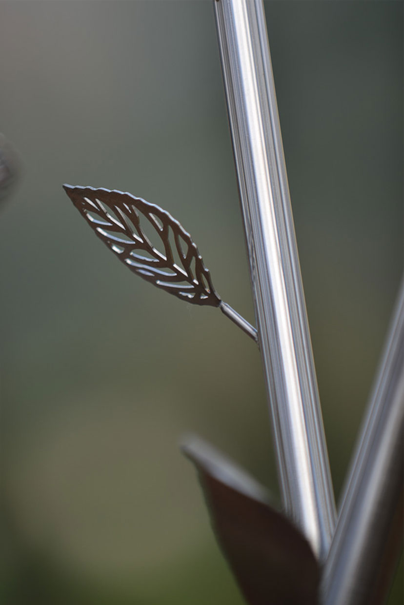 Élévation en inox Equinox Exclusive