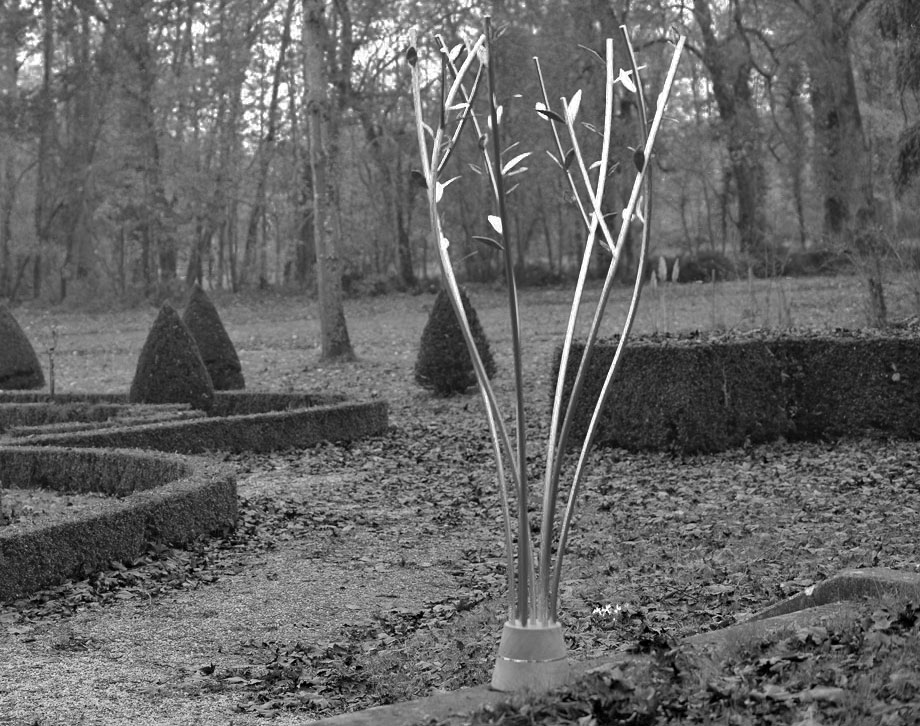 Élévation en inox Equinox Exclusive