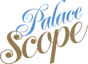 Logo Palace Scope Equinox Exclusive