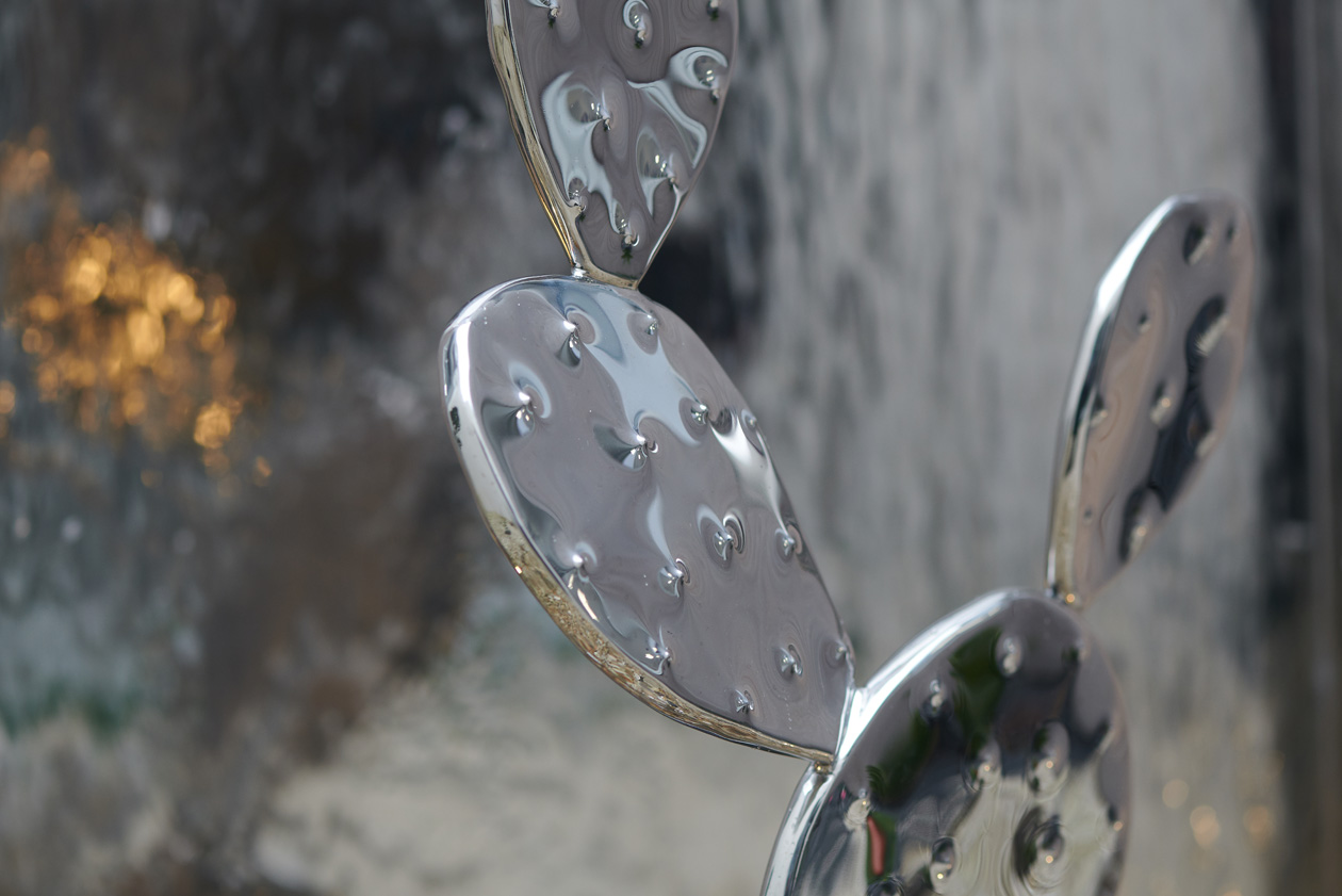 Cactus inox Equinox Exclusive