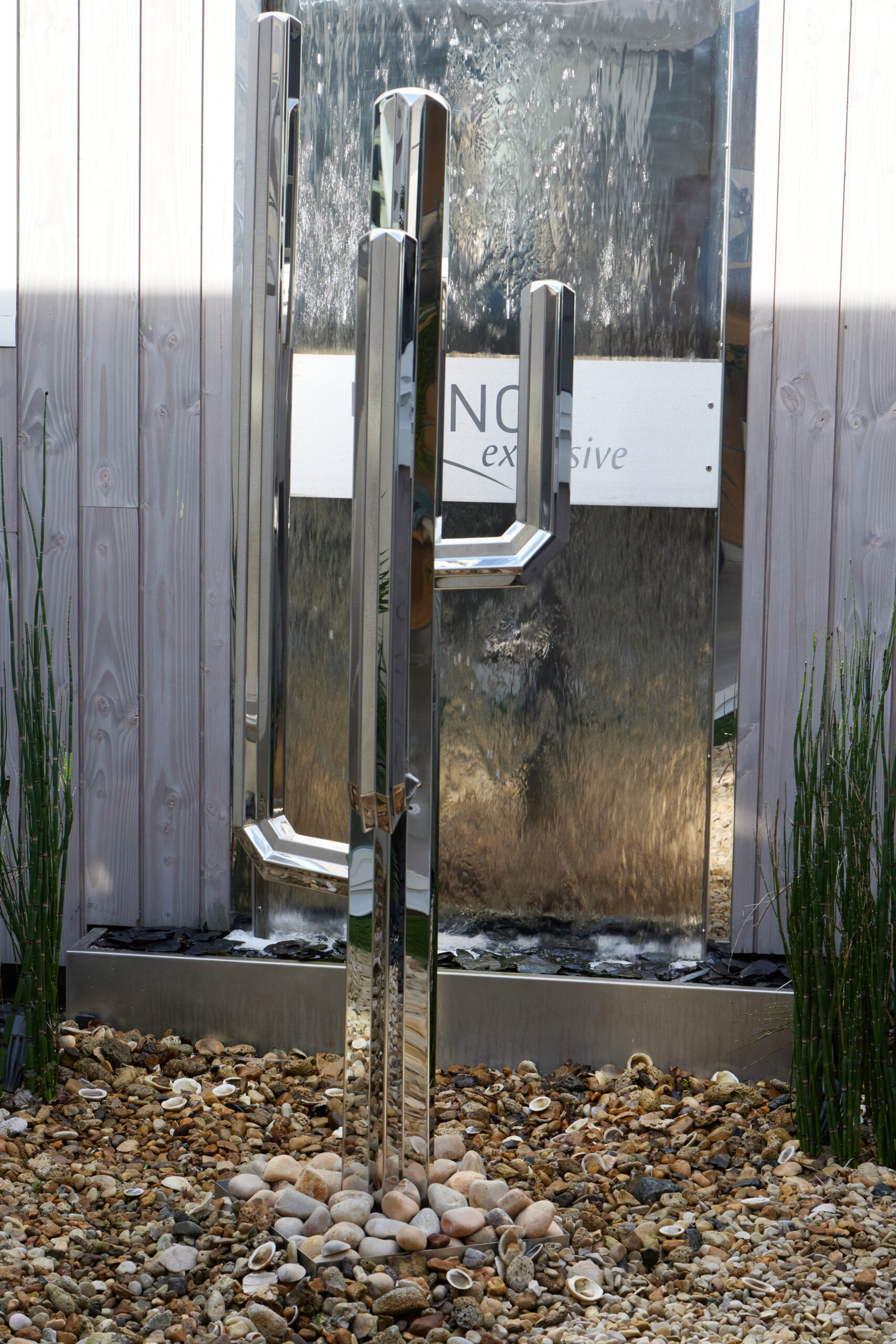 Cactus Mexicain – Image 4