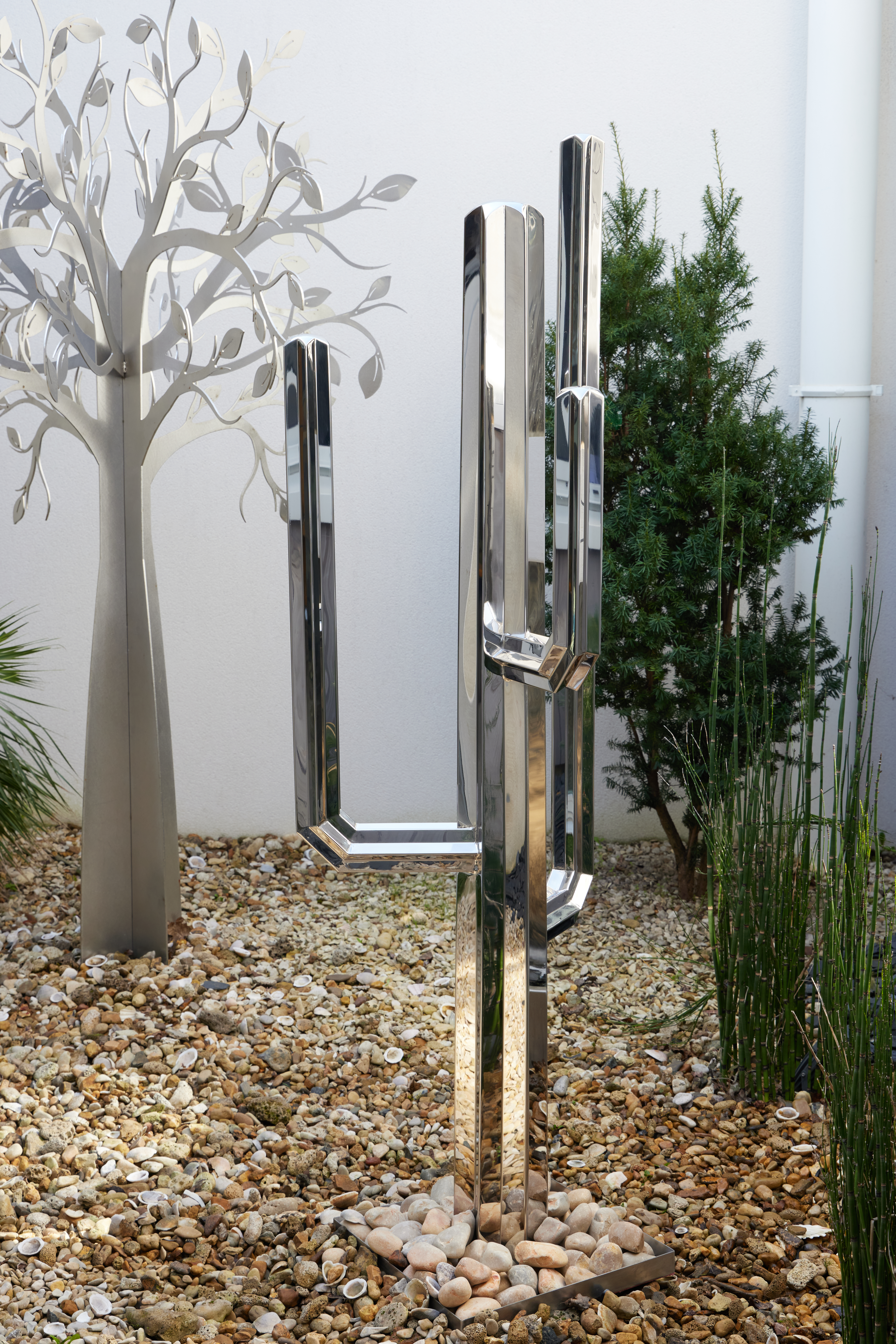 Cactus Mexicain – Image 2