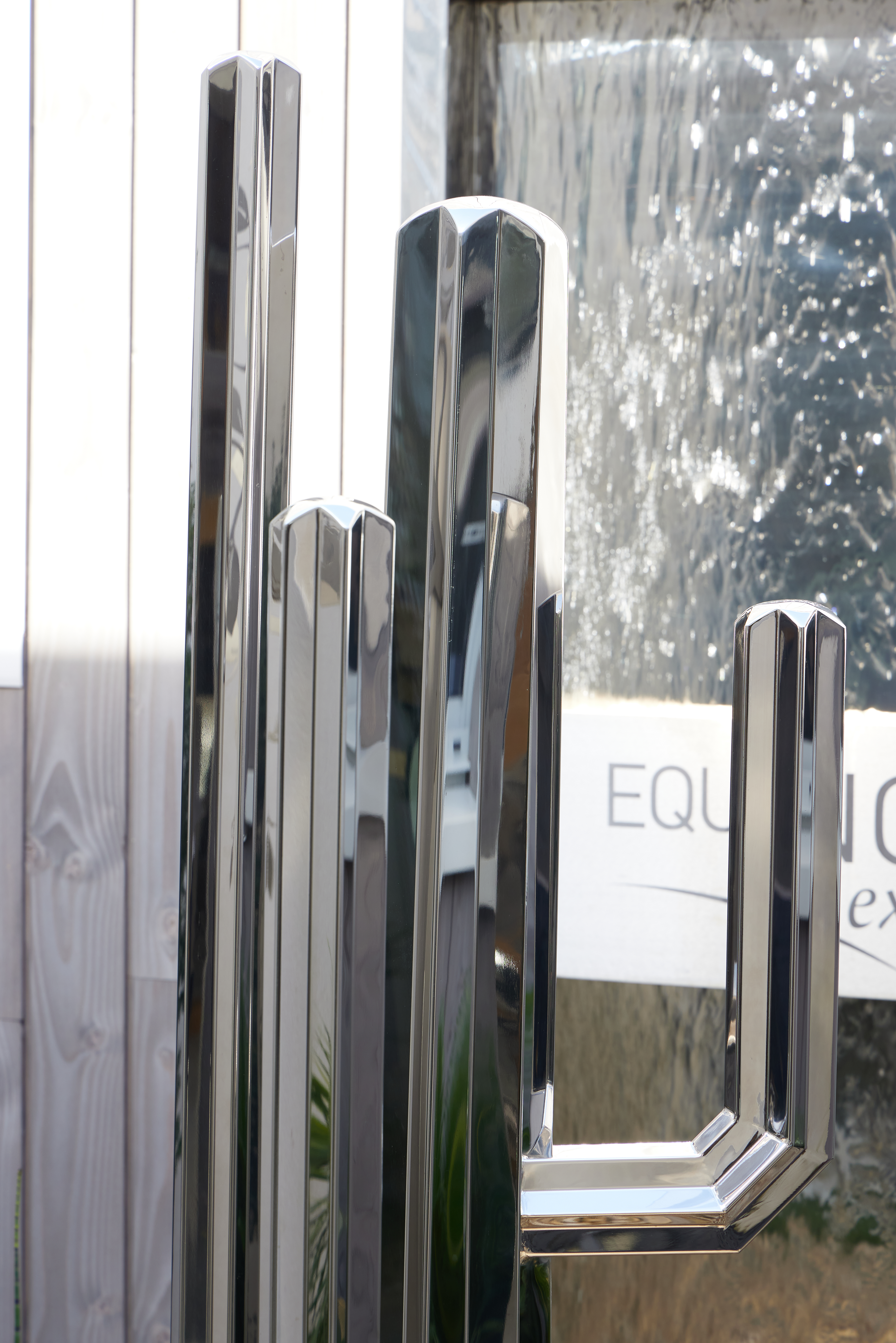 Cactus Mexicain – Image 3